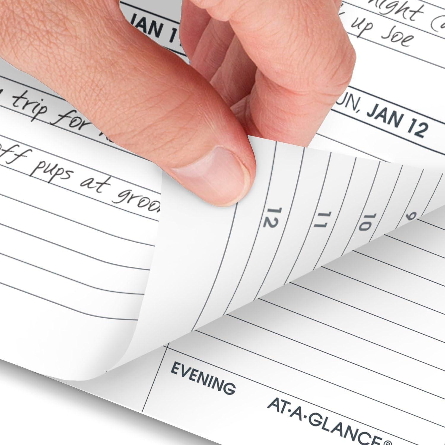 image:imageATAGLANCE 2026 Weekly Appointment Book Planner Refill for 70008 314 x 614 Pocket Size 7090410262025 Old Edition